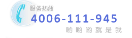 4006-111-945 4006-111-945