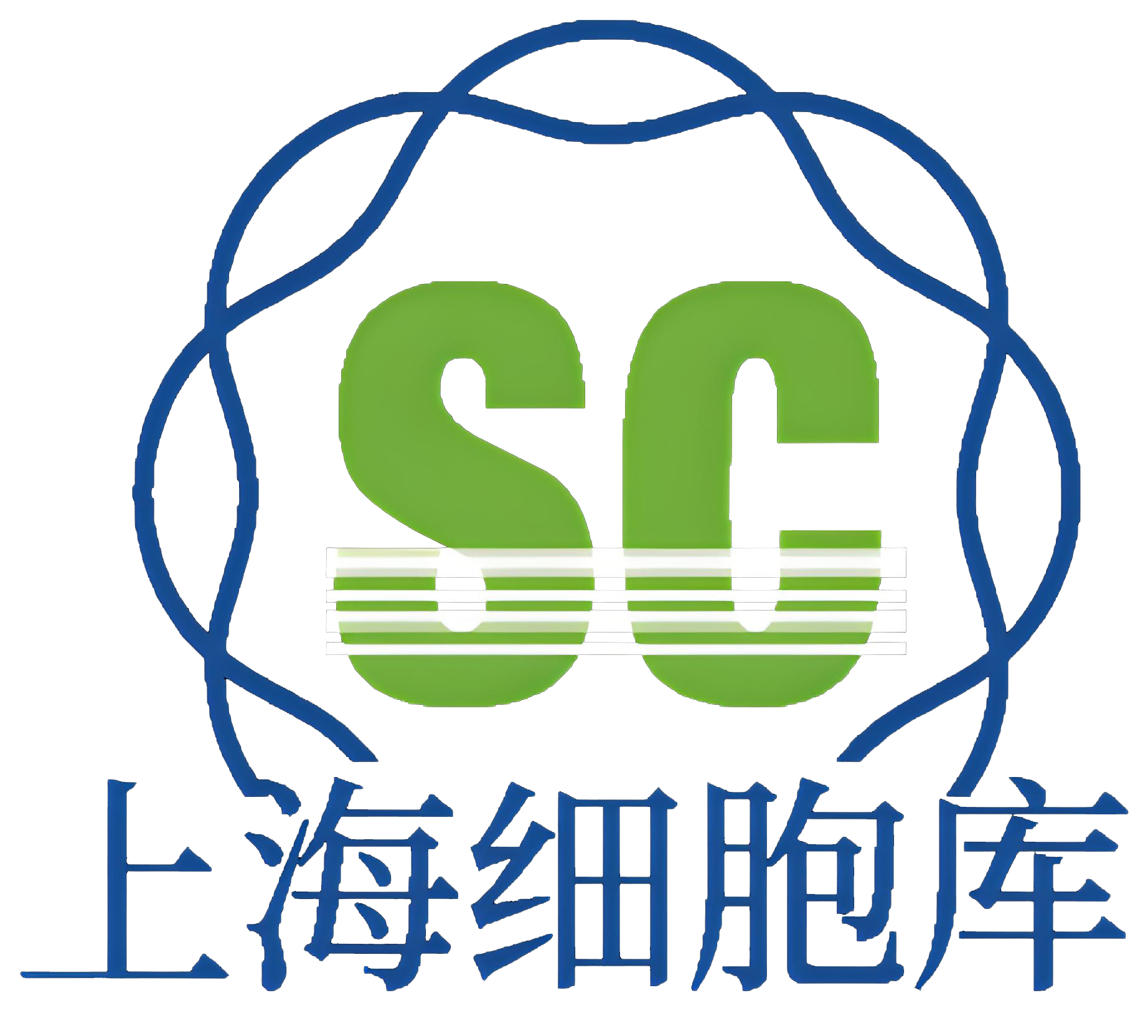 ˶�� ϸ����/ϸ��ϵ���ۺ����ǣ�