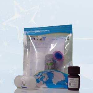 KF003 ������ECL��ѧ��...